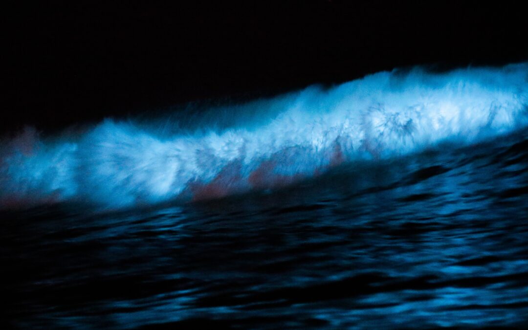 Vacation Destinations For Exploring Bioluminescent Water
